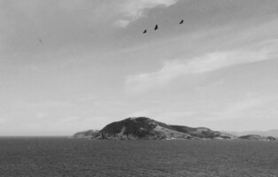 'Two Islands' by Eilish McCarthy