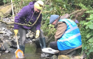 Water Sampling in Newtown Woods