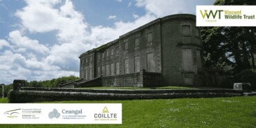 Curraghchase Forest Park Guided Bat Walk