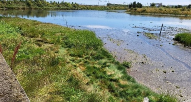 Marsh