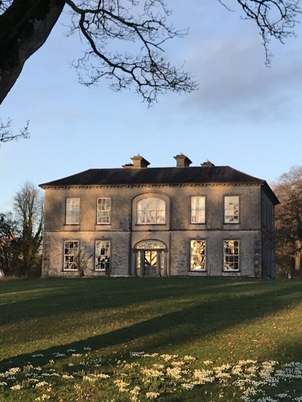 1000054539 1000054539