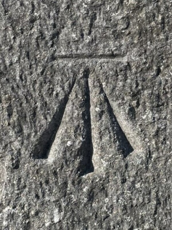 IMG 7821 Zoom 2 IMG 7821 Zoom 2