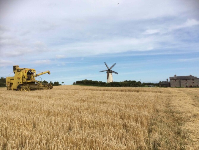 23rd August 23rd August