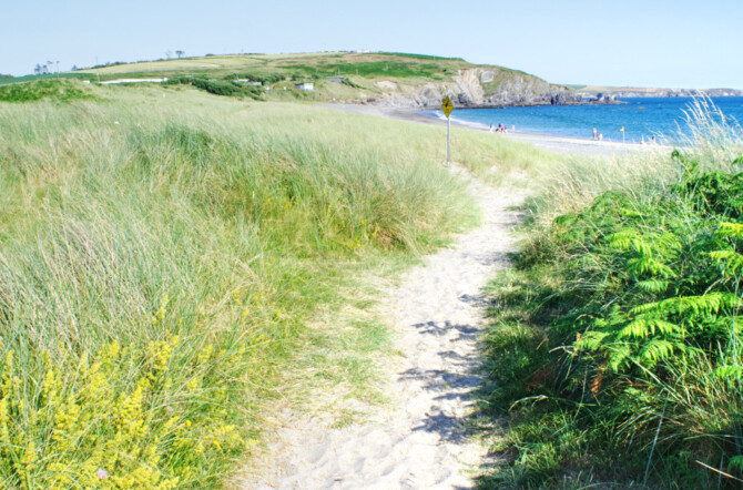 Owenahincha Down Sized Owenahincha Down Sized