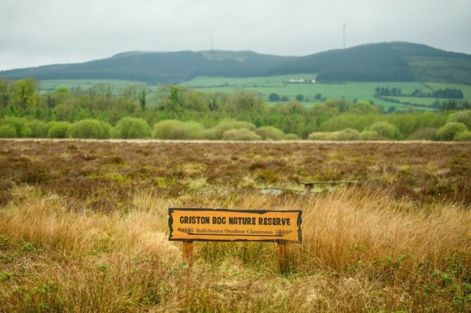 220509 dg001 new 220509 dg001 new