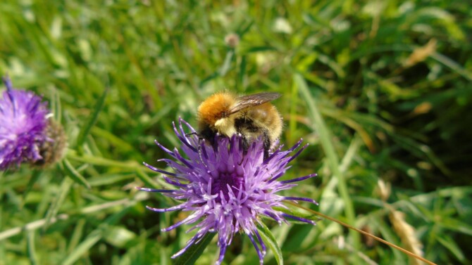 14068336 10154395378597346 6121296950294670346 o