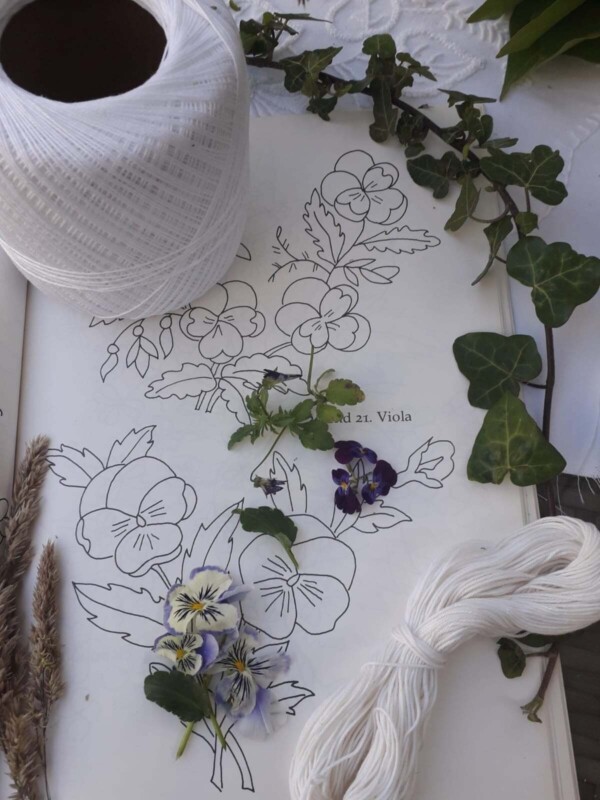 226823559 4872686276091540 4851972220470283497 n