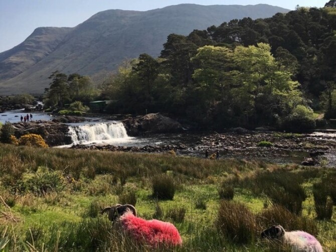 Aasleigh Falls Galway Tourism Aasleigh Falls Galway Tourism