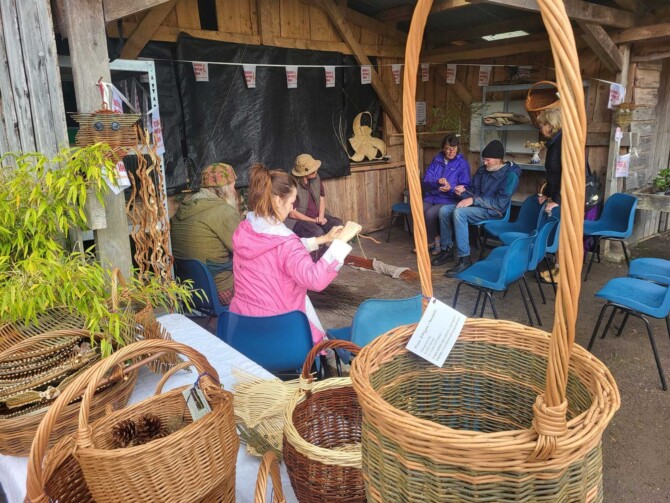 Basket Demo FF small