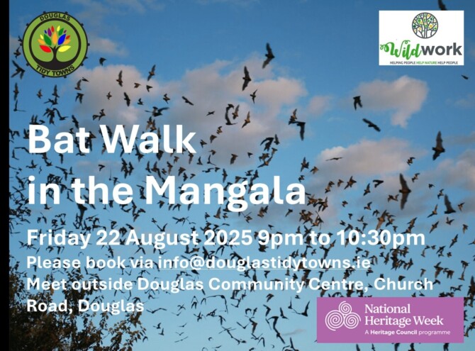 Bat Walk 2025 min Bat Walk 2025 min