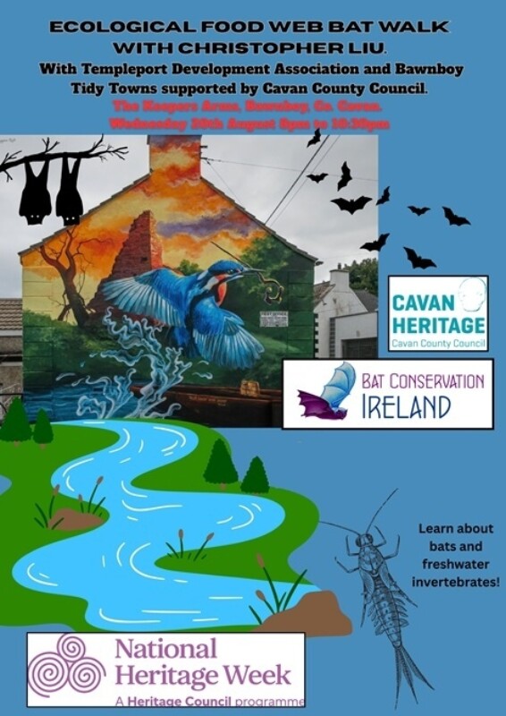 Bawnboy bat walk Cathal