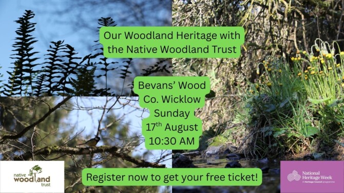 Bevans Wood Walk Pic