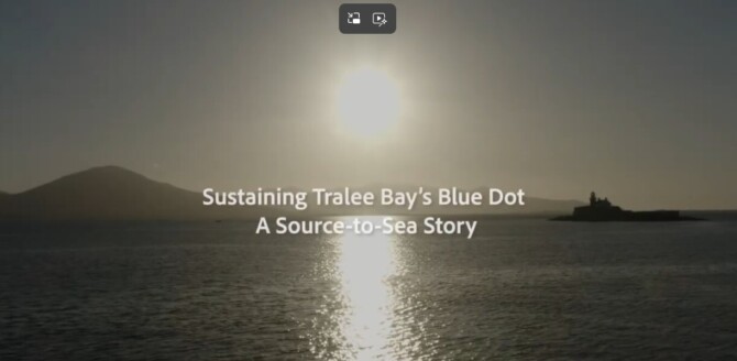 Blue Dot Blue Dot