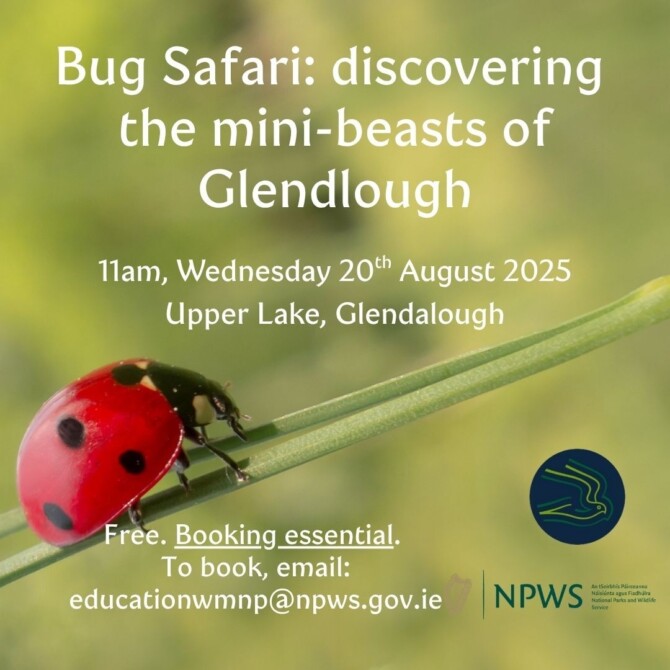Bug Hunt for Heritage Week Bug Hunt for Heritage Week
