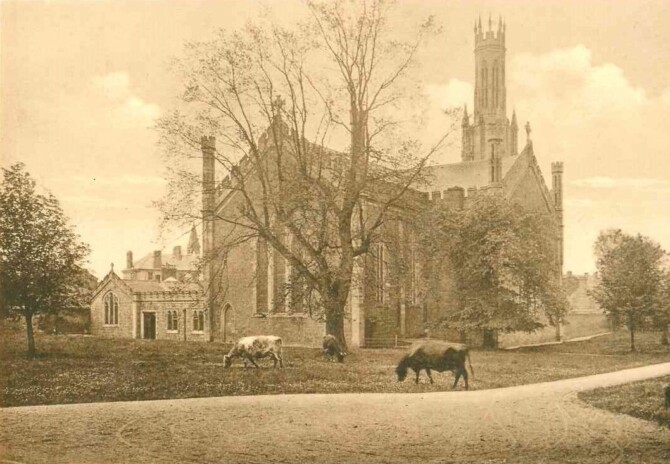 Carlow Cathedral