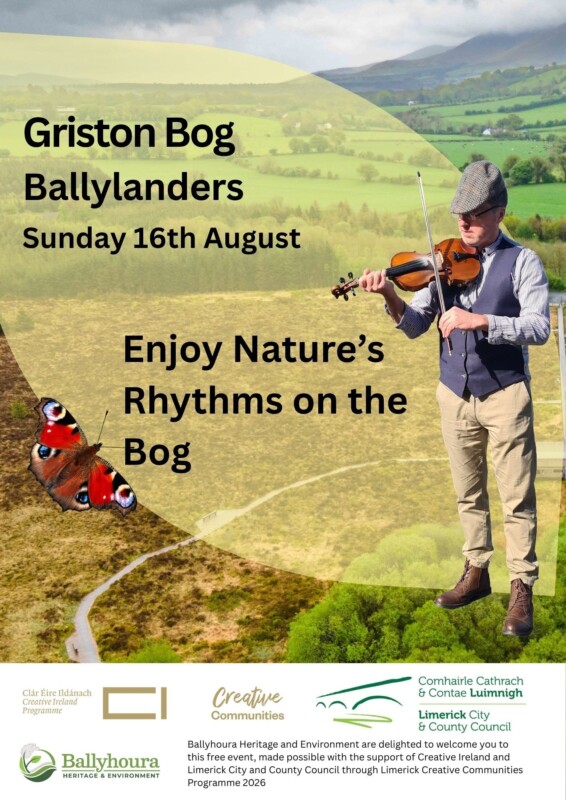 Copy of Natures Rhythms at the Pattern Festival Copy of Natures Rhythms at the Pattern Festival
