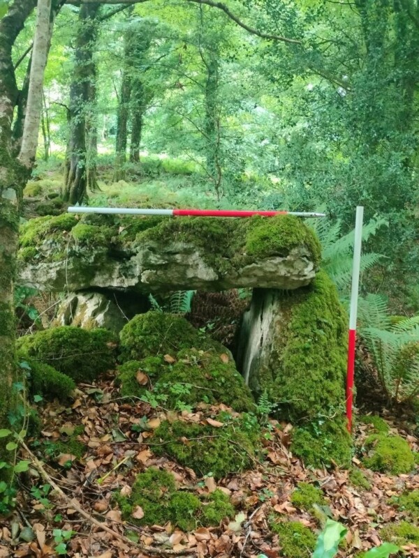 Craggaunowen wedge tomb Web edit Craggaunowen wedge tomb Web edit
