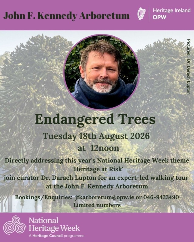 Endangered Trees Darach JFK 1 Endangered Trees Darach JFK 1