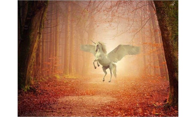 Event 12plus Event 12plus