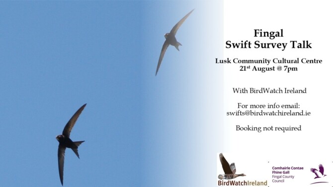 Fingal Swift Talk Lusk Advertisement