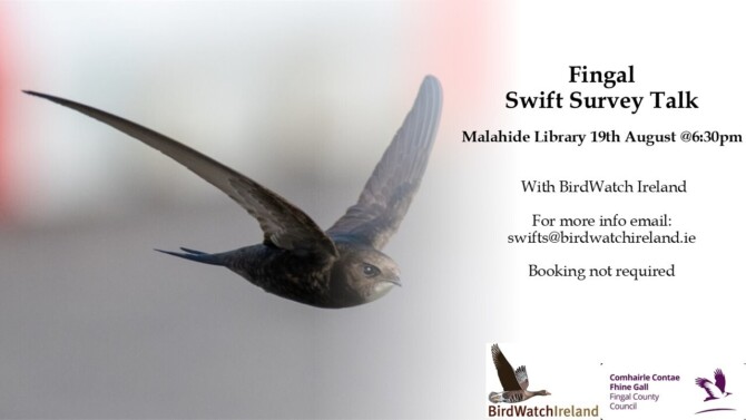 Fingal Swift Talk Malahide Advertisement