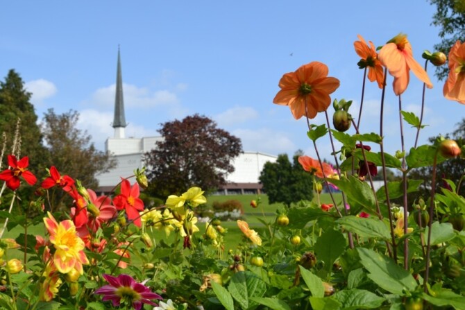 Flowers Basilica