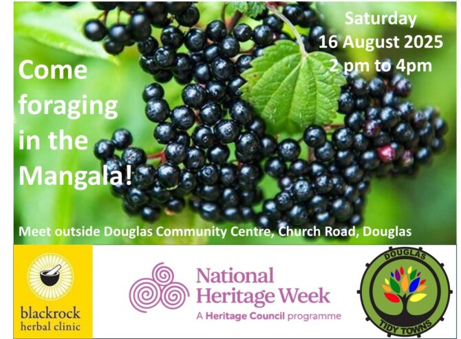 Foraging 2025 png Foraging 2025 png