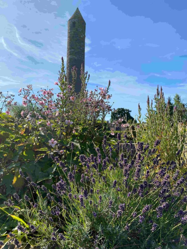 Garden and tower compressed 1 Garden and tower compressed 1