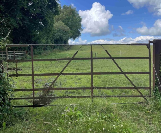 Gate 5 jpeg min min Gate 5 jpeg min min