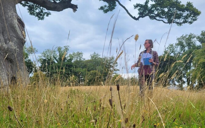 Grassland Event BH2 small Grassland Event BH2 small