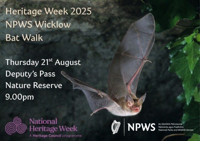 Heritage Week 2025 Bat Walk