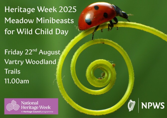 Heritage Week 2025 Meadow Minibeasts Heritage Week 2025 Meadow Minibeasts