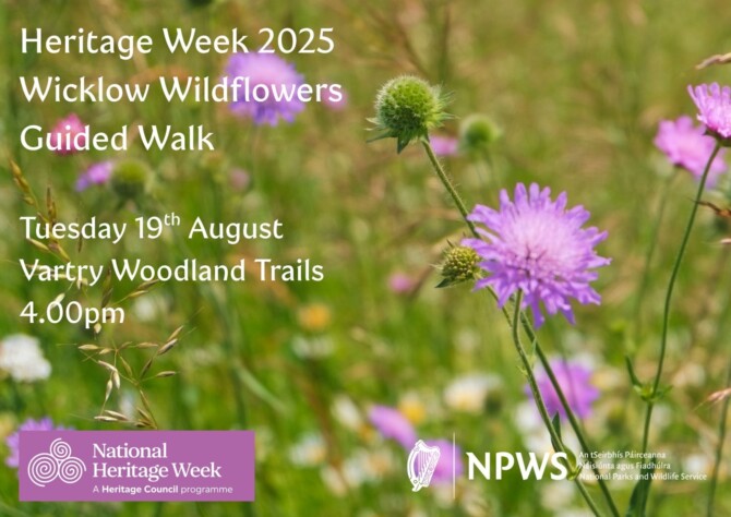 Heritage Week 2025 Wildflower Walk Heritage Week 2025 Wildflower Walk