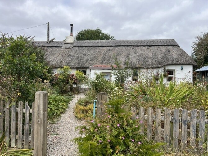 IMG 0017 1 IMG 0017 1