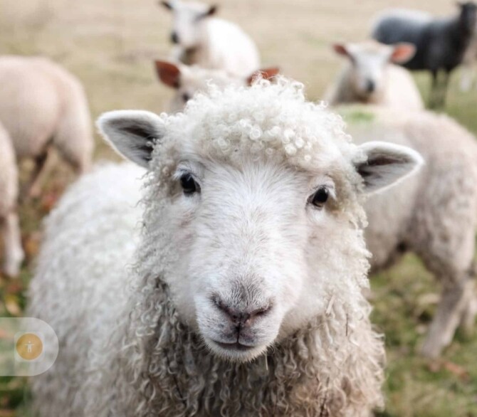 IMG 20250620 155334 IMG 20250620 155334