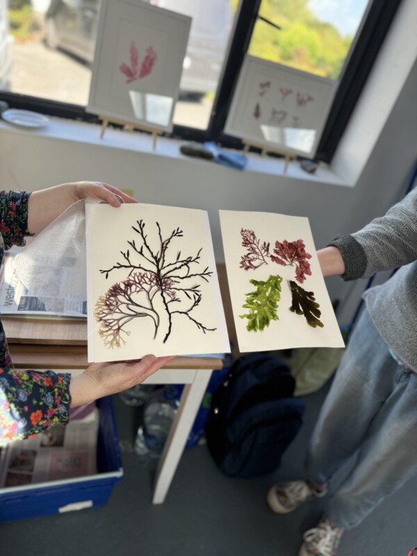 IMG 8952 min min IMG 8952 min min