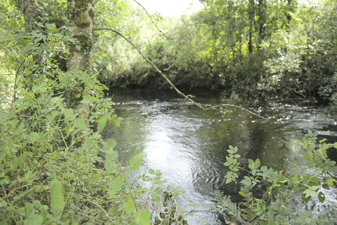 Instream workshop River Grainey image LGNS Instream workshop River Grainey image LGNS