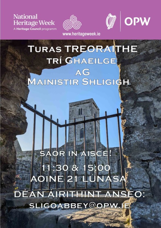 Irish Tour Poster 500 MB