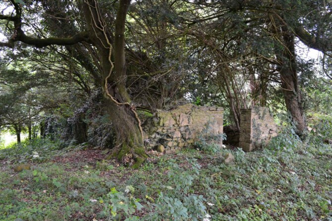 Kilcolmanbane graveyard