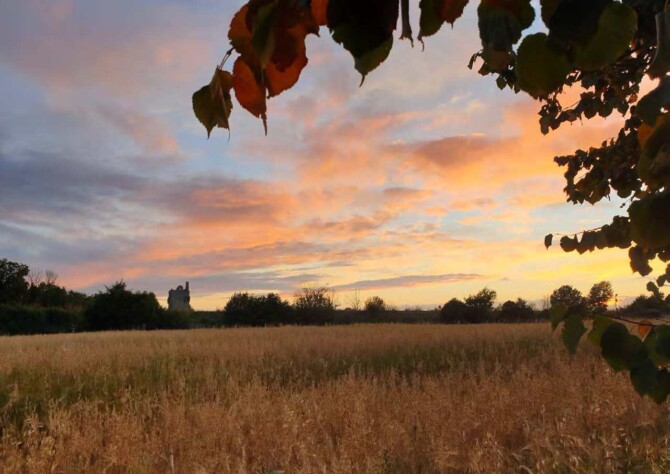 Midland Strings photo