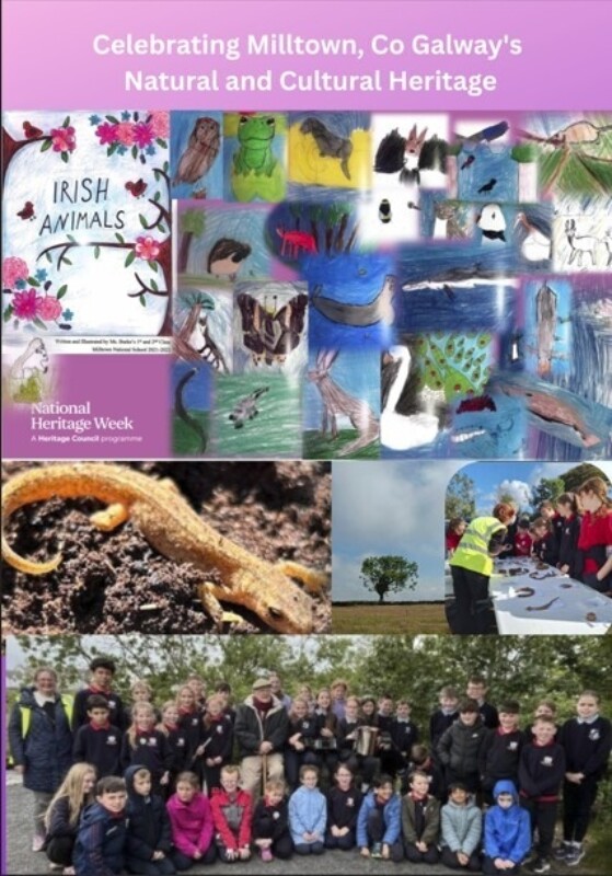 Milltown Heritage
