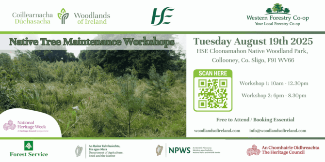 Native Tree Maintenance August 2025 Eventbrite