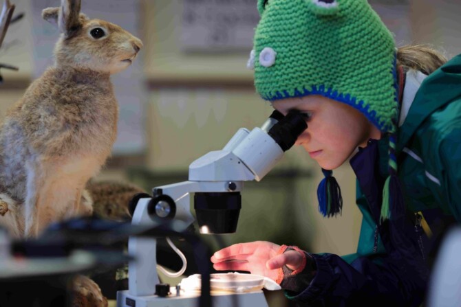Nature fun day image 1 1 4 Nature fun day image 1 1 4