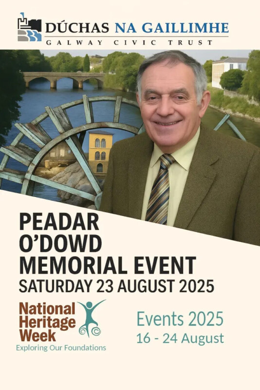PEADAR ODOWD PROMO IMAGE 1