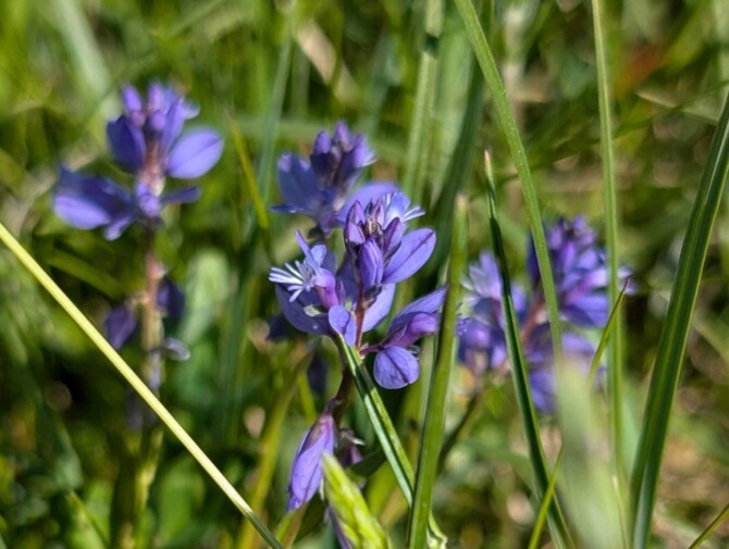 PHOTO 2025 05 26 11 23 064 PHOTO 2025 05 26 11 23 064