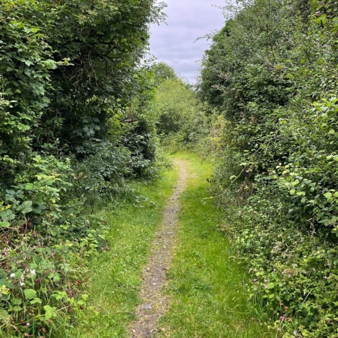 Park Activity Park Activity