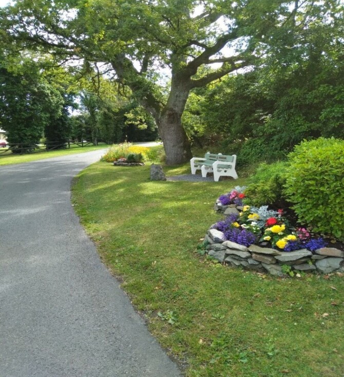 Patron cross Patron cross