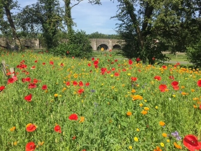Picnic Area 2 Picnic Area 2