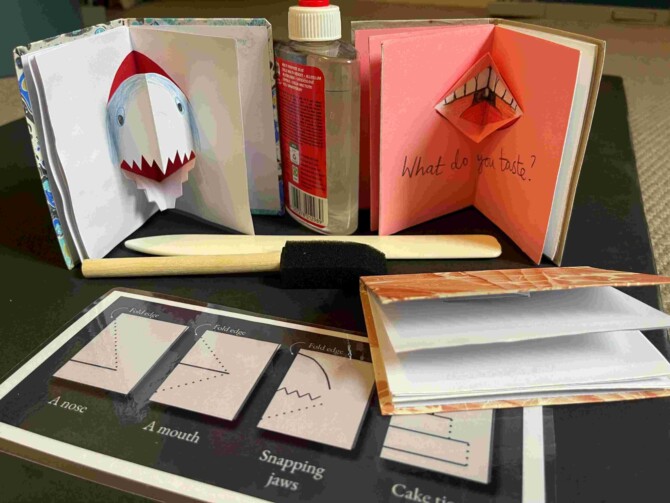 Pop Up Books Pop Up Books