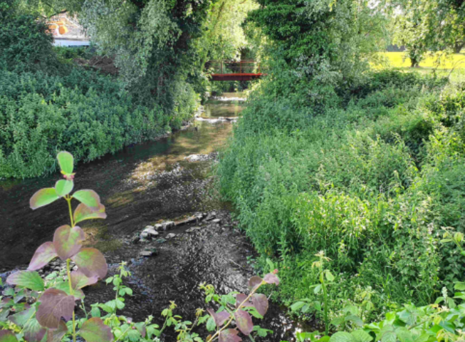 River Camac 3 River Camac 3